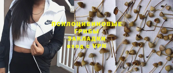 тгк Алзамай